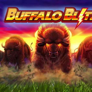 Live Buffalo Blitz